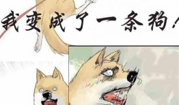 娱乐吃瓜宠物小说免费阅读,吃瓜小说免费畅读