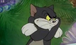 吃娱乐瓜tom猫的微博,Tom猫微博揭秘娱乐圈幕后故事