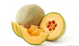 娱乐吃瓜名字大全,揭秘那些令人捧腹的“吃瓜”名字背后的故事