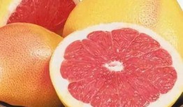 柚子娱乐吃瓜队,揭秘娱乐圈幕后风云