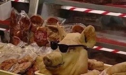 猪头娱乐圈吃瓜,揭秘明星们的“吃瓜”生活