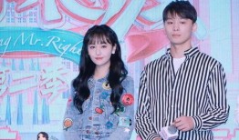 娱乐圈吃瓜爽文合集,揭秘明星幕后真相，吃瓜爽文合集大放送