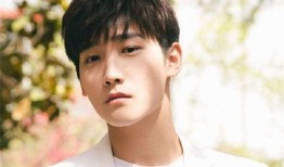 爱豆吃瓜娱乐酱罗云熙,从爱豆到瓜界新宠，揭秘他的吃瓜娱乐之路