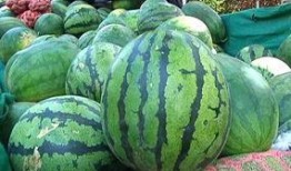 每天看娱乐吃瓜会怎么样,生活百态尽收眼底