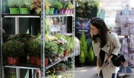 娱乐吃瓜酱花店,吃瓜酱花店背后的秘密花园