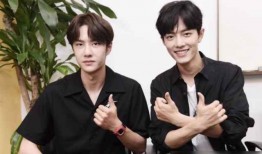 娱乐吃瓜王一博肖战,娱乐圈的甜蜜瓜田，揭秘兄弟情深背后的故事