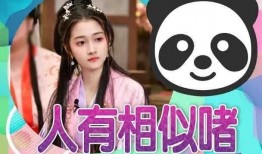 娱乐大晨快乐吃瓜,快乐吃瓜，揭秘娱乐圈幕后故事