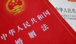 娱乐吃瓜酱婚姻法,揭秘娱乐圈婚姻真相与法律边界