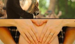 吃瓜鹅娱乐圈完整版