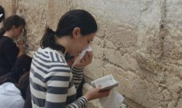 娱乐圈吃瓜的小羊,揭秘明星幕后故事