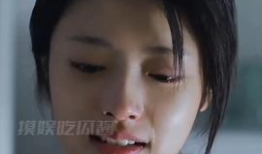 娱乐吃瓜酱啃宠,揭秘娱乐圈宠粉秘籍