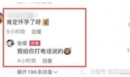 娱乐圈吃瓜入口小程序,揭秘明星幕后故事，畅享八卦盛宴