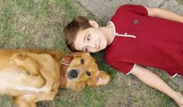 娱乐吃瓜酱送小狗,暖心情怀传递爱心瞬间