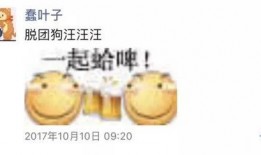 娱乐圈吃瓜的小羊,揭秘明星幕后故事