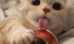 娱乐吃瓜9个段子,揭秘明星幕后故事