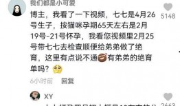 娱乐吃瓜解说博主是谁,揭秘博主背后的故事