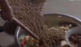 娱乐吃瓜酱花瓶视频下载,揭秘花瓶视频下载背后的秘密