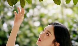 娱乐圈吃瓜50条,揭秘明星幕后故事